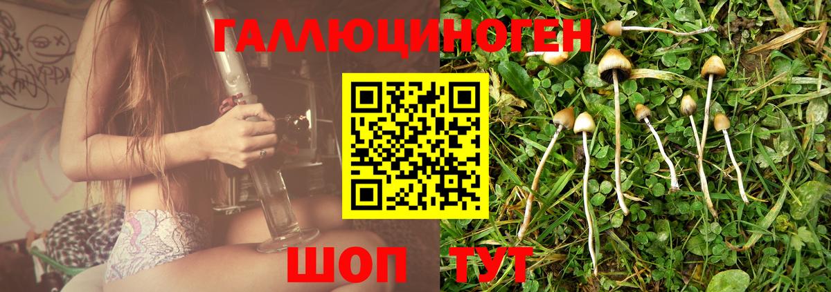 Галлюциногенные грибы ЛСД  Вход с VPN  Урюпинск  Псилоцибиновые грибы Psilocybe 